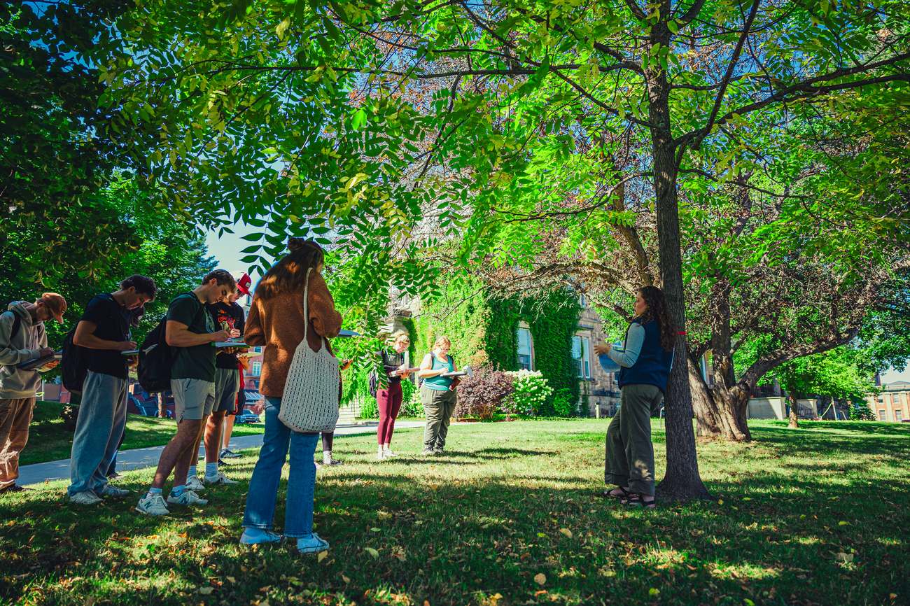 ForEM students sketching and taking notes under a large tree on the UNB campus lawn