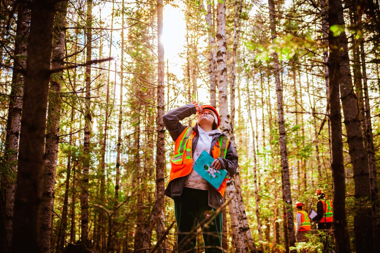 A ForEM student in the forest measuring tree height, sunlight streaming through the canopy